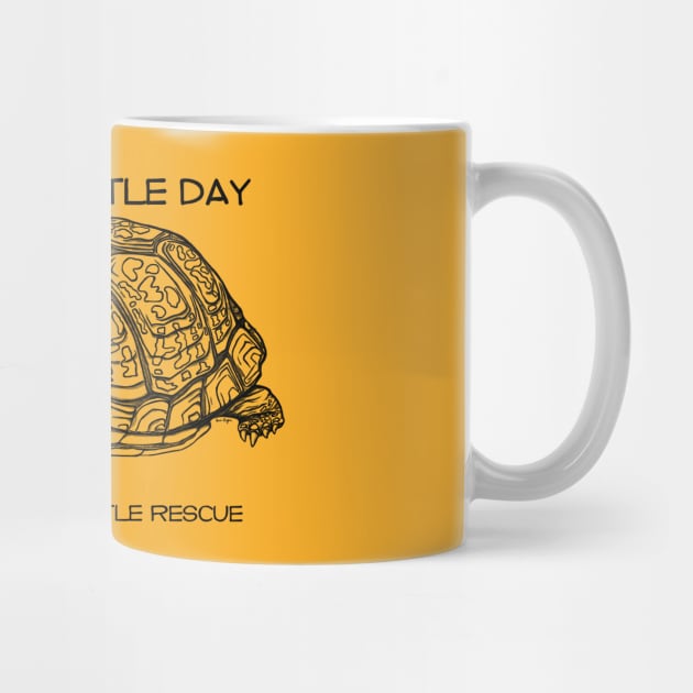 World Turtle Day - Eastern Box Turtle by CMTR Store